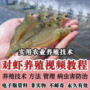 对虾养殖技术视频教学教程水质管理日常养护疾病防治南美白素材-淘宝虚拟产品货源