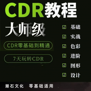 cdr教程视频Coreldraw自学平面设计广告排版零基础入门学习课程-淘宝虚拟产品货源