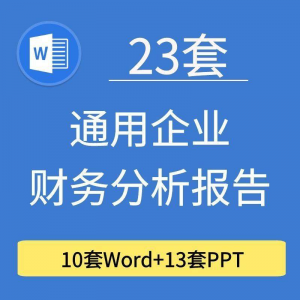 23套通用企业公司年度财务分析报告word电子文档模板PPT演示-淘宝虚拟产品货源