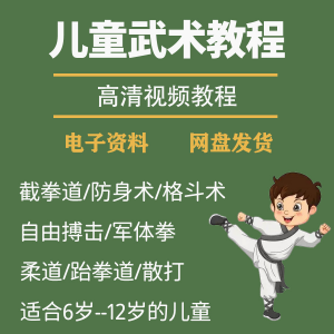 少儿童武术视频教程零基础自学咏春散打擒拿泰拳跆拳道防身术课程-淘宝虚拟产品货源