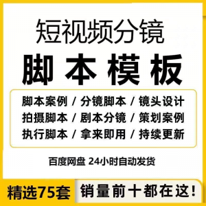 短视频拍摄脚本分镜头表模板抖音计划表剧本拉片宣传片策划表格-淘宝虚拟产品货源