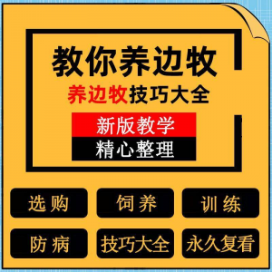 边牧训练方法教程边境牧羊犬驯养技术饲养喂养选购训犬技巧大全套-淘宝虚拟产品货源