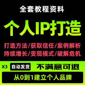 个人IP打造教程如何快速打造个人IP社交品牌定位训练营资料大全新-淘宝虚拟产品货源