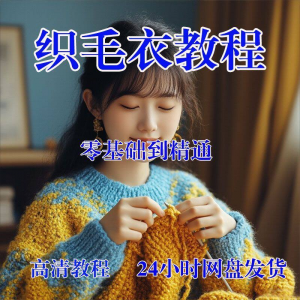 手工织毛衣视频零基础传统棒针钩针毛线编织婴儿童全套-淘宝虚拟产品货源