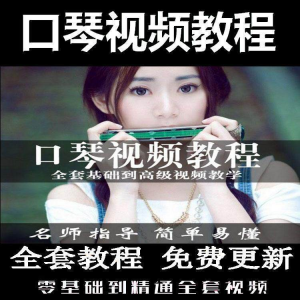 口琴自学教程视频零基础初学者入门到专业十孔24孔教学-淘宝虚拟产品货源