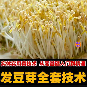 自学发豆芽技术资料豆芽加工制作方法教学 培育豆芽商用视频教程-淘宝虚拟产品货源