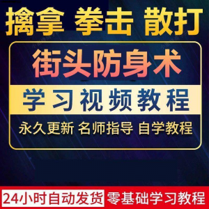 街头防身术擒拿拳击散打视频教程全套入门自学零基础学习教程视频-淘宝虚拟产品货源