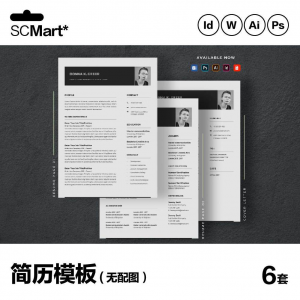 6套高级英文简历Word简历 ai psd设计师简历模板毕业生简历CV29-淘宝虚拟产品货源