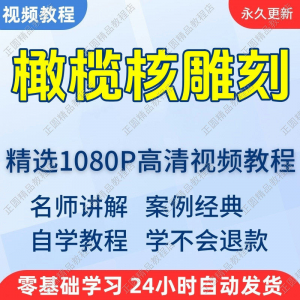橄榄核雕刻视频学习教程新手自学零基础入门精通教学课程全集-淘宝虚拟产品货源