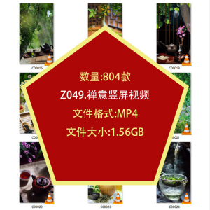 茶艺喝茶品茶竖屏泡茶文化意境禅意自媒体剪辑高清抖音短视频素材-淘宝虚拟产品货源
