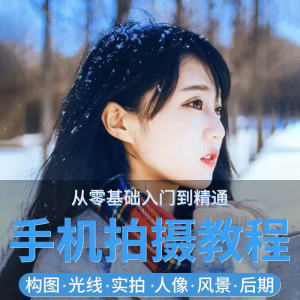 手机摄影教程snapseed人像后期修图拍摄拍照课程从入门到精通-淘宝虚拟产品货源