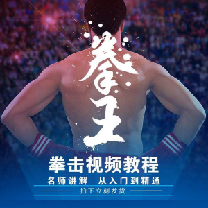 拳击教学视频 自学教程 训练零基础运动入门健身搏击格斗武术课程-淘宝虚拟产品货源