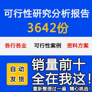 项目可行性研究分析报告案例品牌融资投资研究资料方案大全模板-淘宝虚拟产品货源