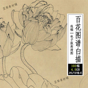 百花图谱白描线稿图集 国画花卉植103幅tif格式3.6G高清图片素材-淘宝虚拟产品货源